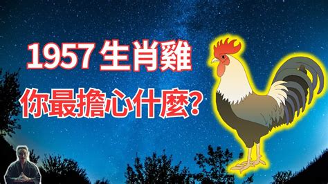 1957屬雞2023運勢|生肖雞: 性格，愛情，2024運勢，生肖1993，2005，2017